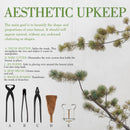 Bonsai 15pc Master Tool Set