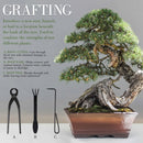 Bonsai 15pc Master Tool Set