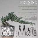 Bonsai 15pc Master Tool Set