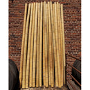 tall thick bamboo poles
