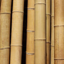 natural thick bamboo poles